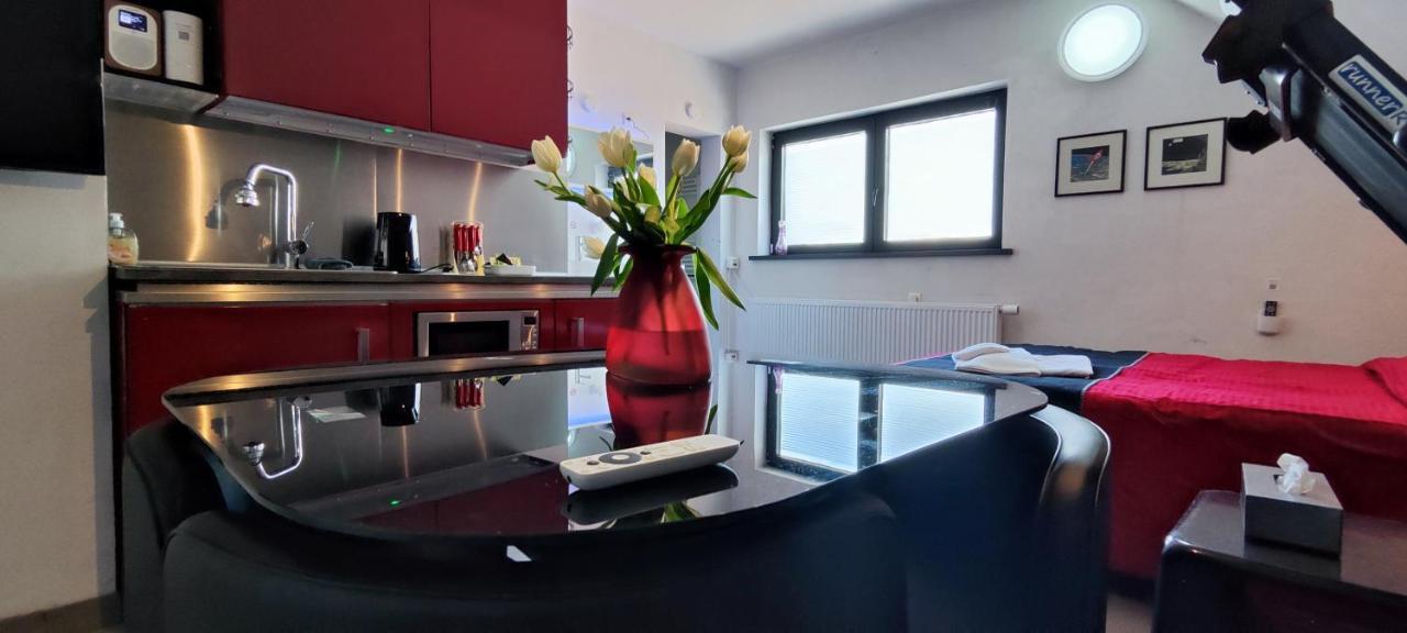 Logeerkamer Xxl 25 M2 Zemst Zewnętrze zdjęcie